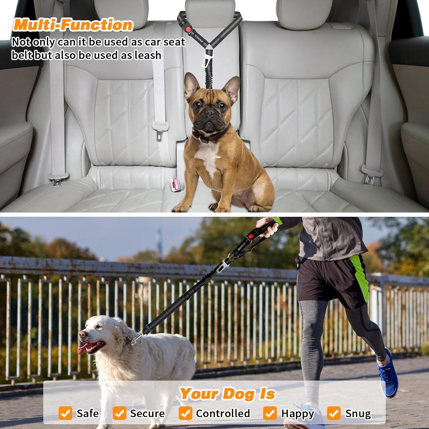 Pack de 2 Correas Elásticas de Sujeción para Coche