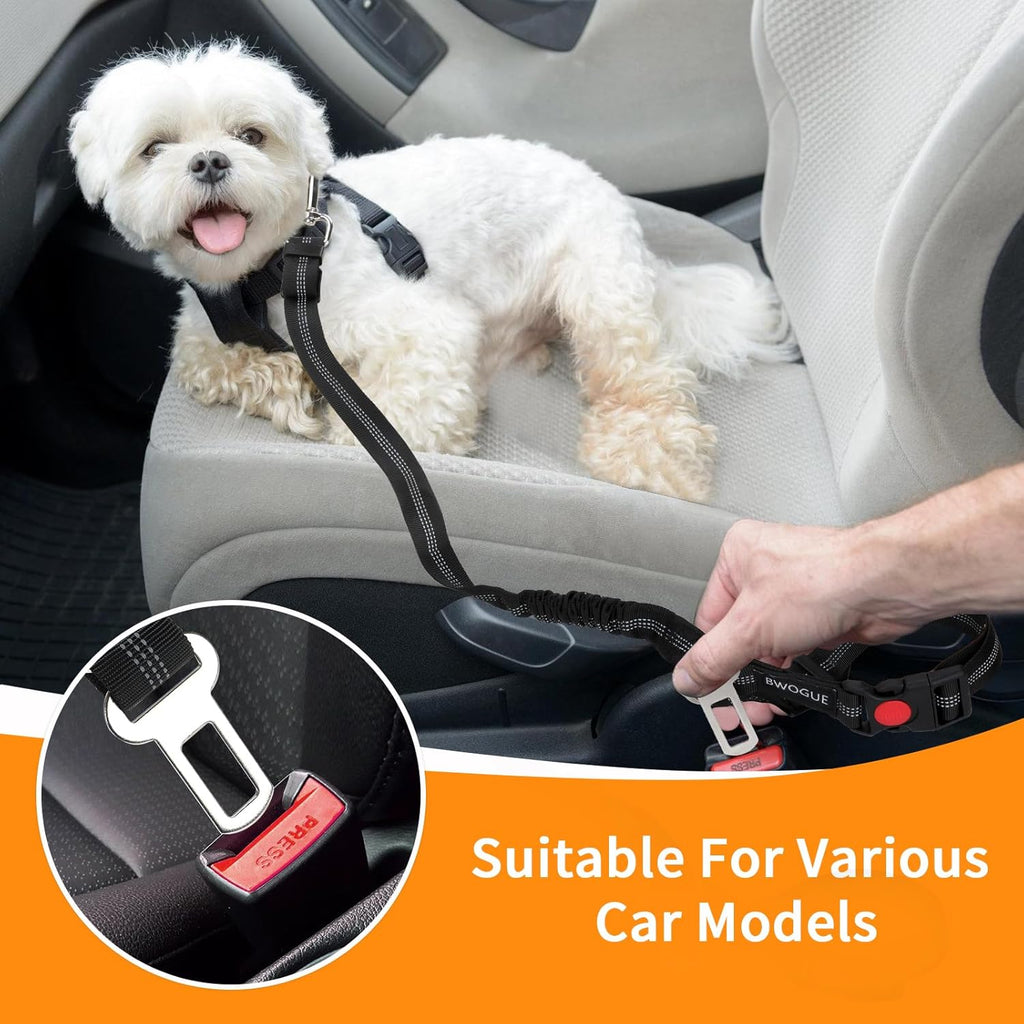 Pack de 2 Correas Elásticas de Sujeción para Coche